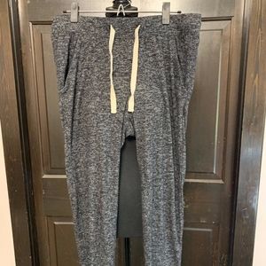 Express Joggers